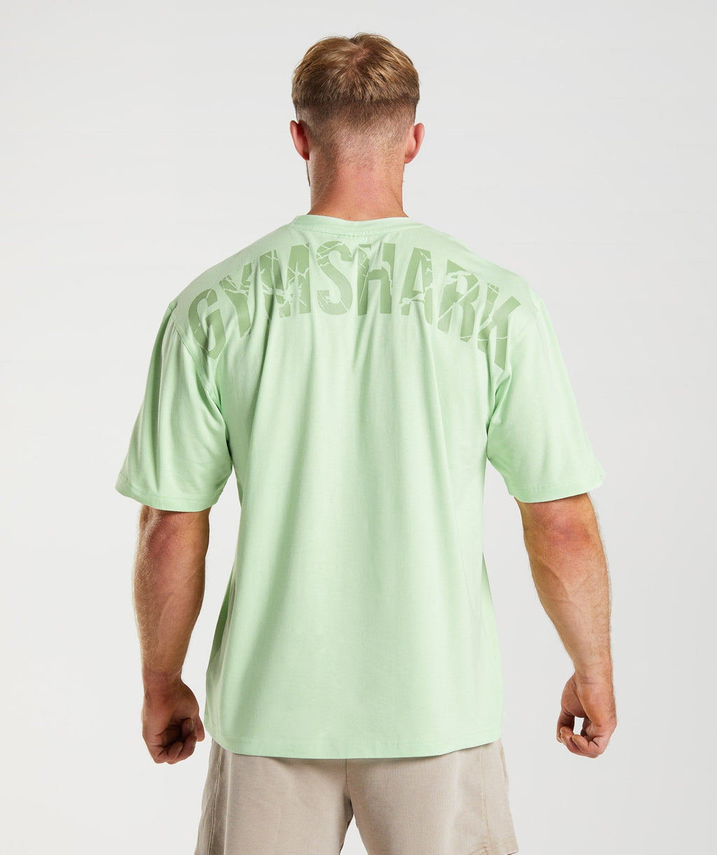 gymshark-power-t-shirt-aloe-green-aw22