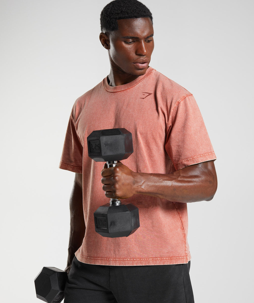 gymshark-power-washed-t-shirt-rose-brown-aw22