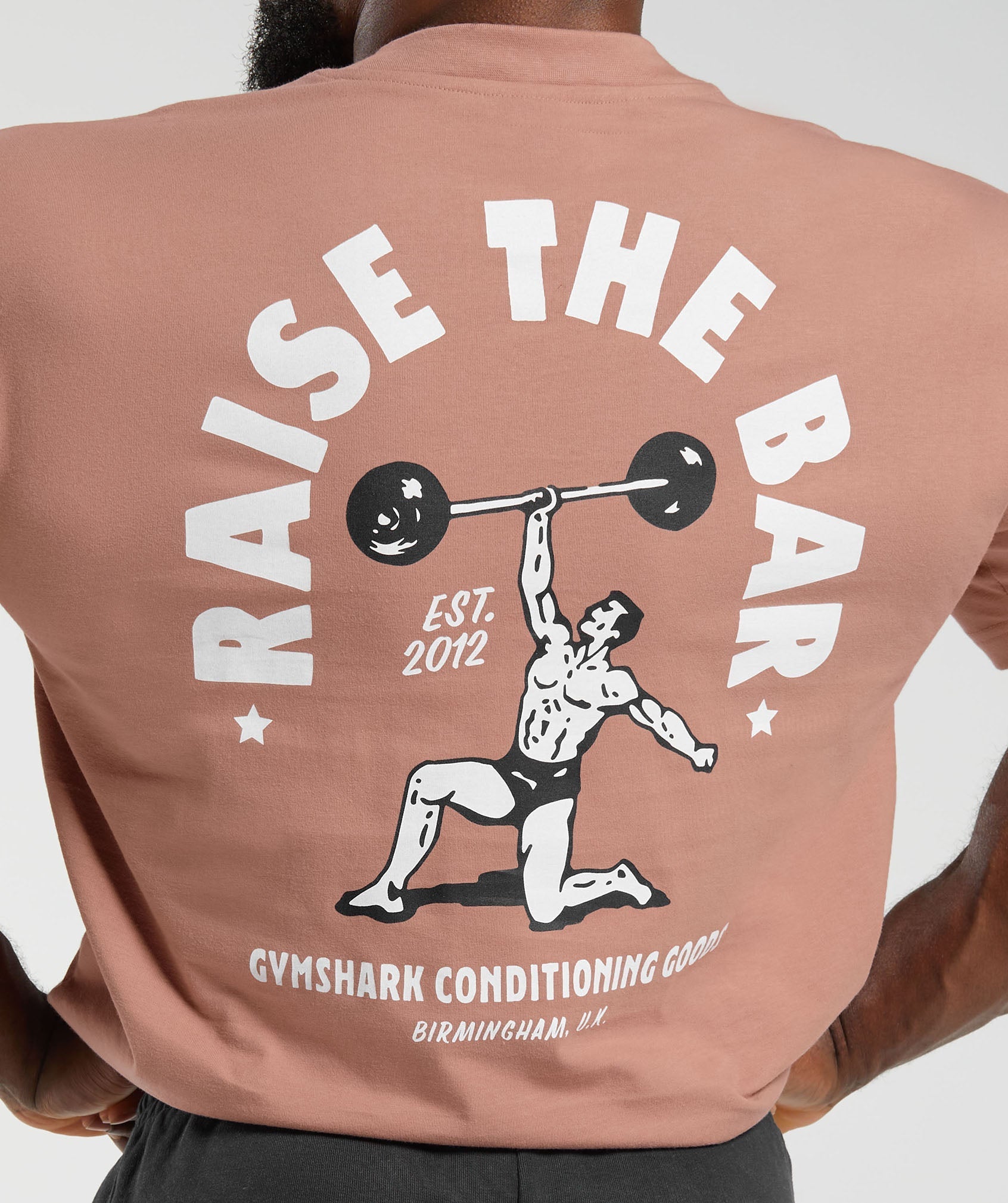 gymshark-raise-the-bar-t-shirt-faded-pink-aw23