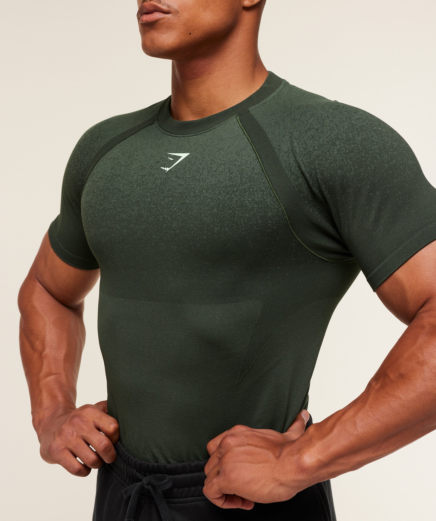 gymshark-shadow-seamless-t-shirt-ss-tops-green-ss25