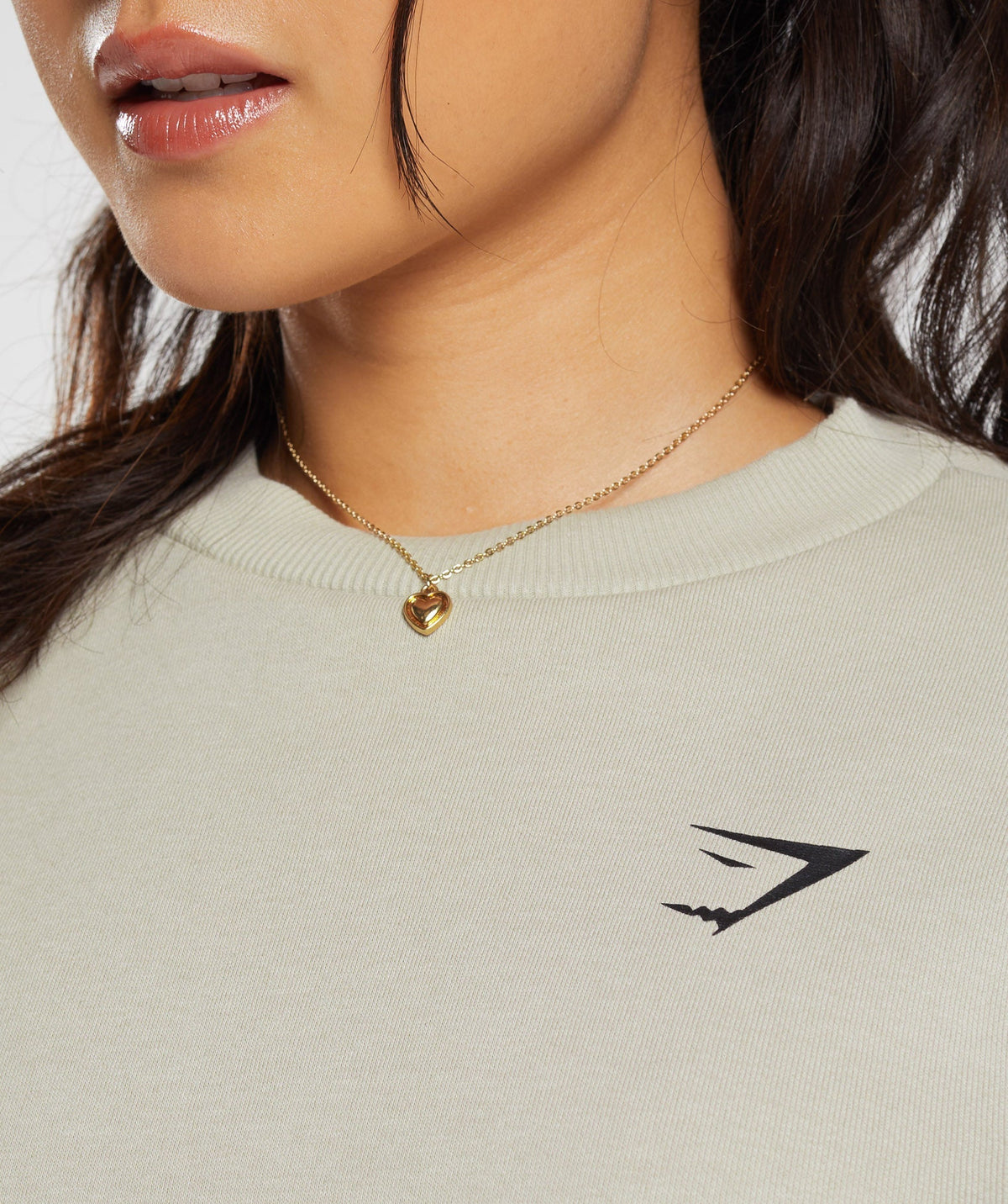 gymshark-shark-attack-oversized-sweatshirt-brown-aw23