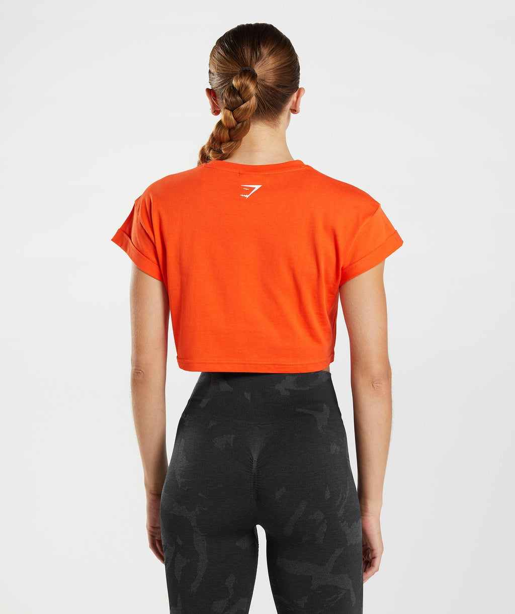 gymshark-fraction-crop-top-pepper-red-aw22
