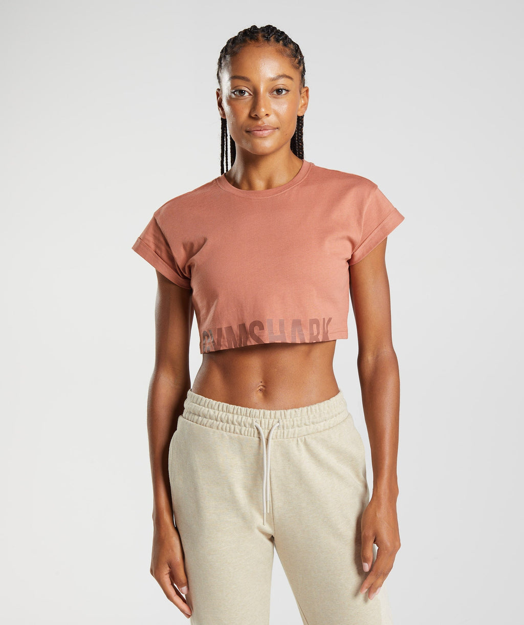 gymshark-fraction-crop-top-toffee-brown-aw22
