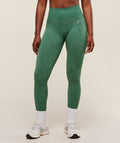 gymshark-adapt-fleck-seamless-leggings-leggings-green-aw25
