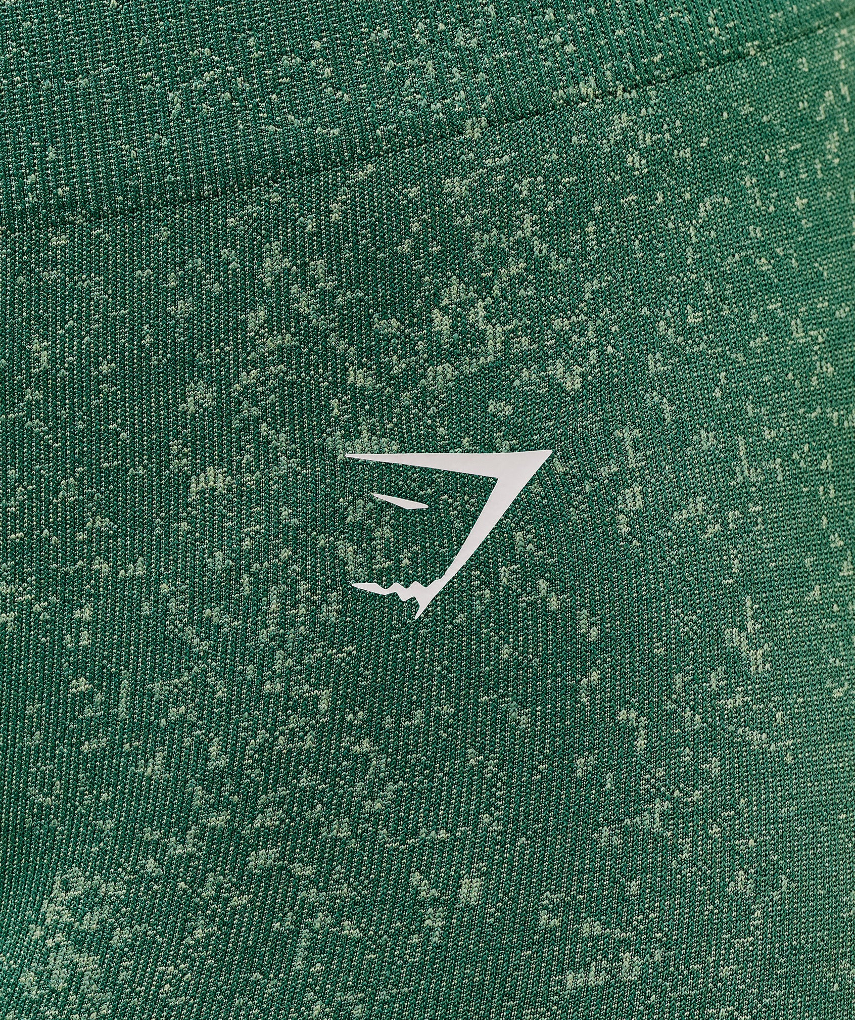gymshark-adapt-fleck-seamless-leggings-leggings-green-aw25
