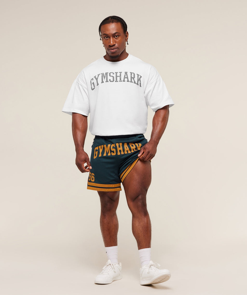 gymshark-varsity-mesh-shorts-shorts-blue-aw25