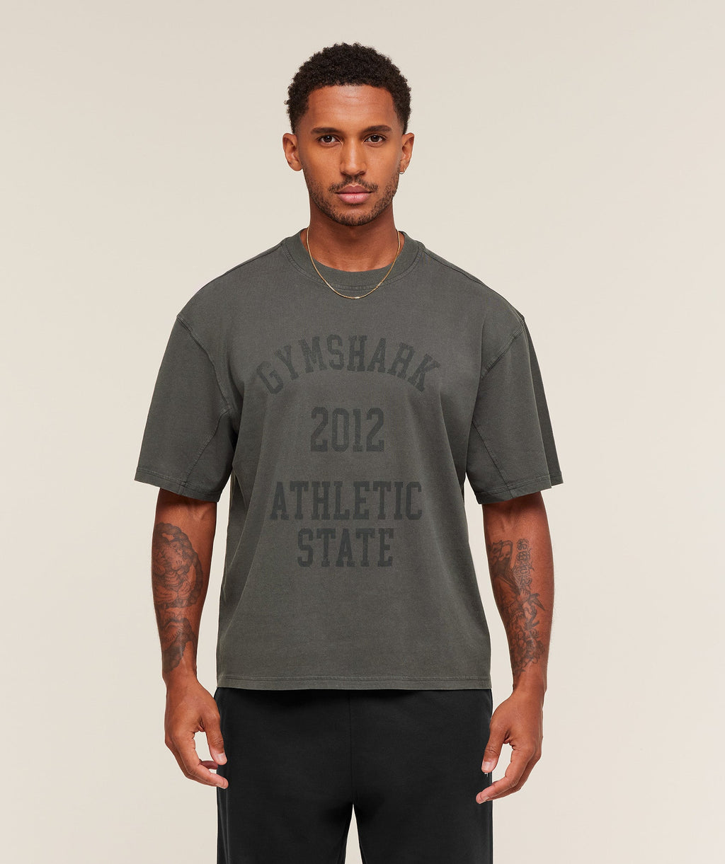 gymshark-collegiate-washed-t-shirt-ss-tops-grey-aw25