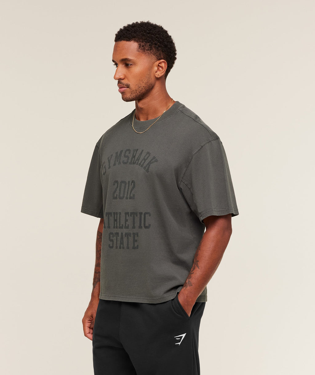 gymshark-collegiate-washed-t-shirt-ss-tops-grey-aw25
