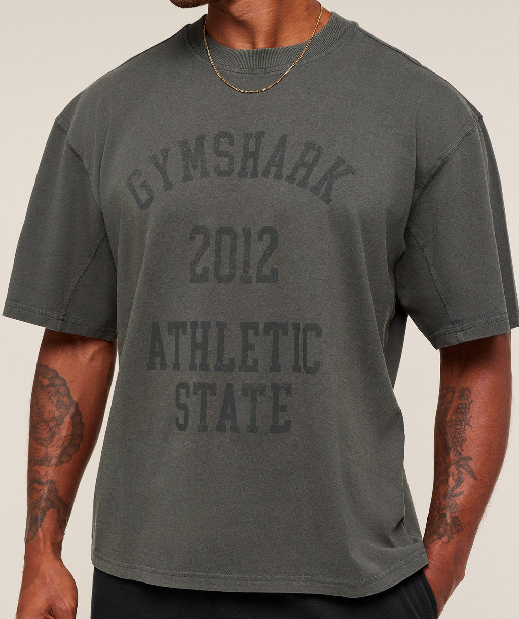 gymshark-collegiate-washed-t-shirt-ss-tops-grey-aw25