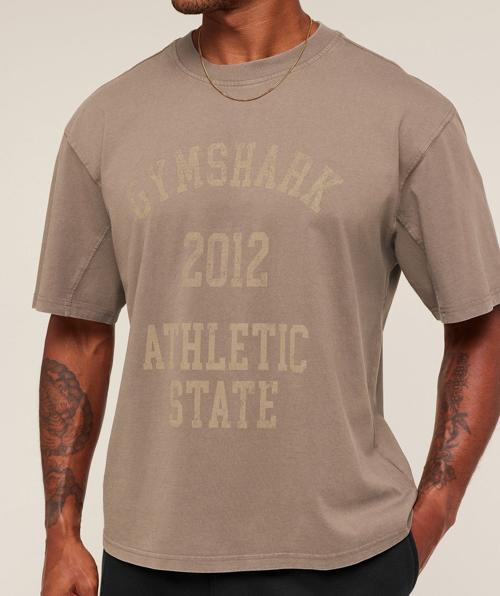 gymshark-collegiate-washed-t-shirt-ss-tops-brown-aw25