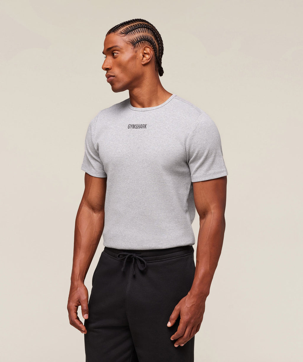 gymshark-premium-ribbed-t-shirt-ss-tops-grey-ss25