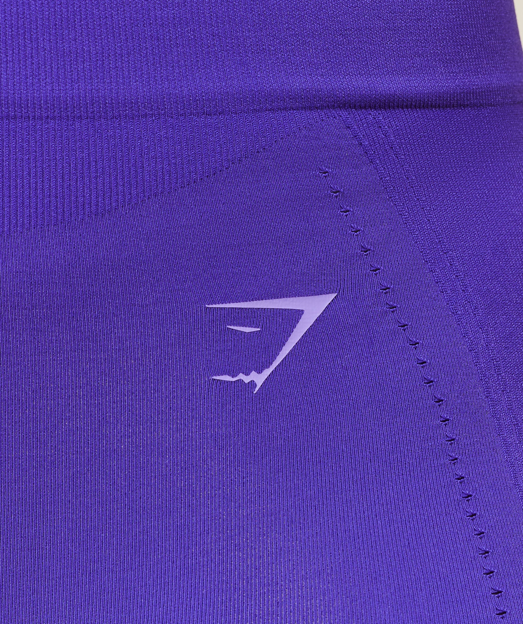 gymshark-energised-seamless-leggings-leggings-purple-ss25
