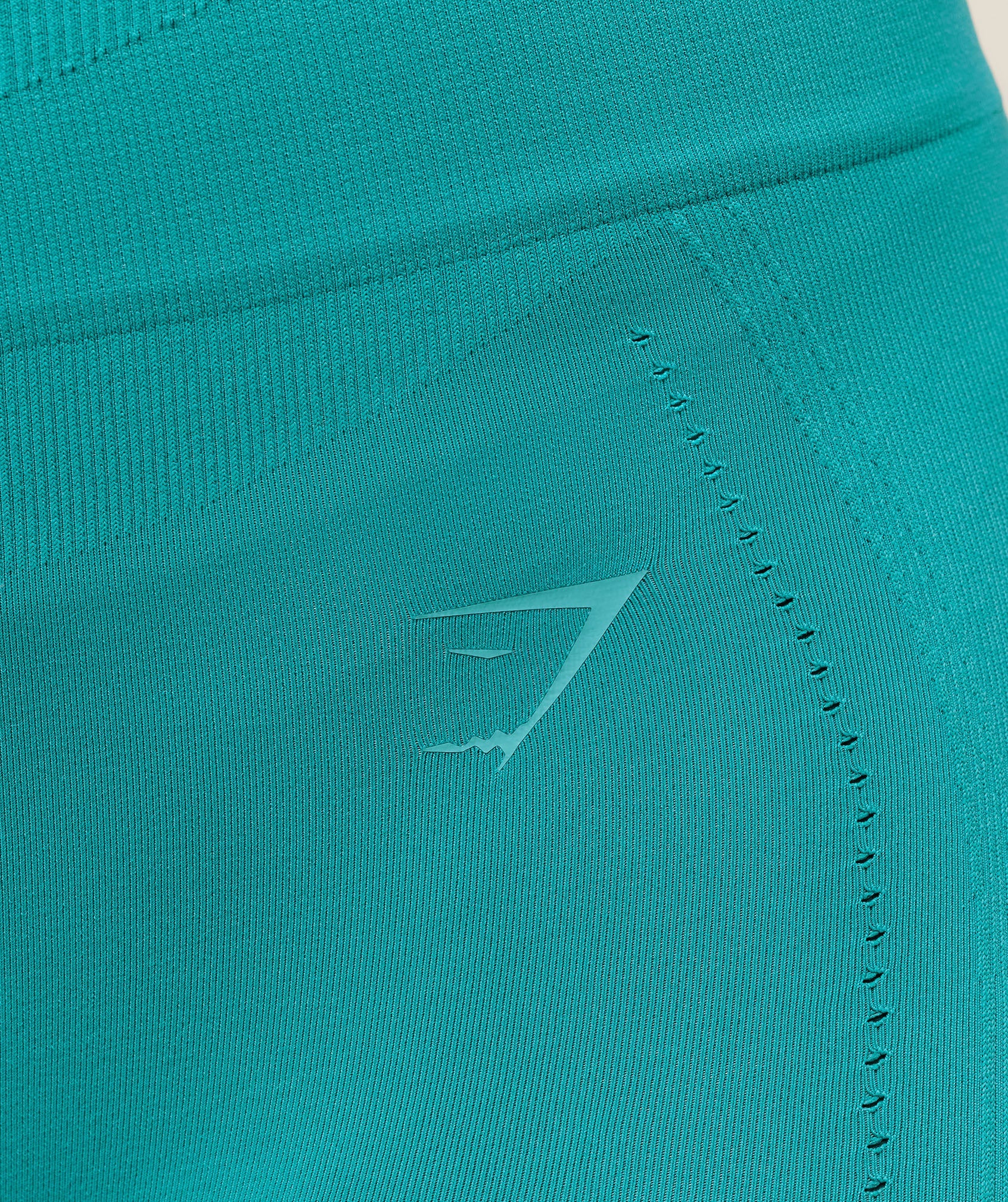 gymshark-energised-seamless-leggings-leggings-teal-ss25