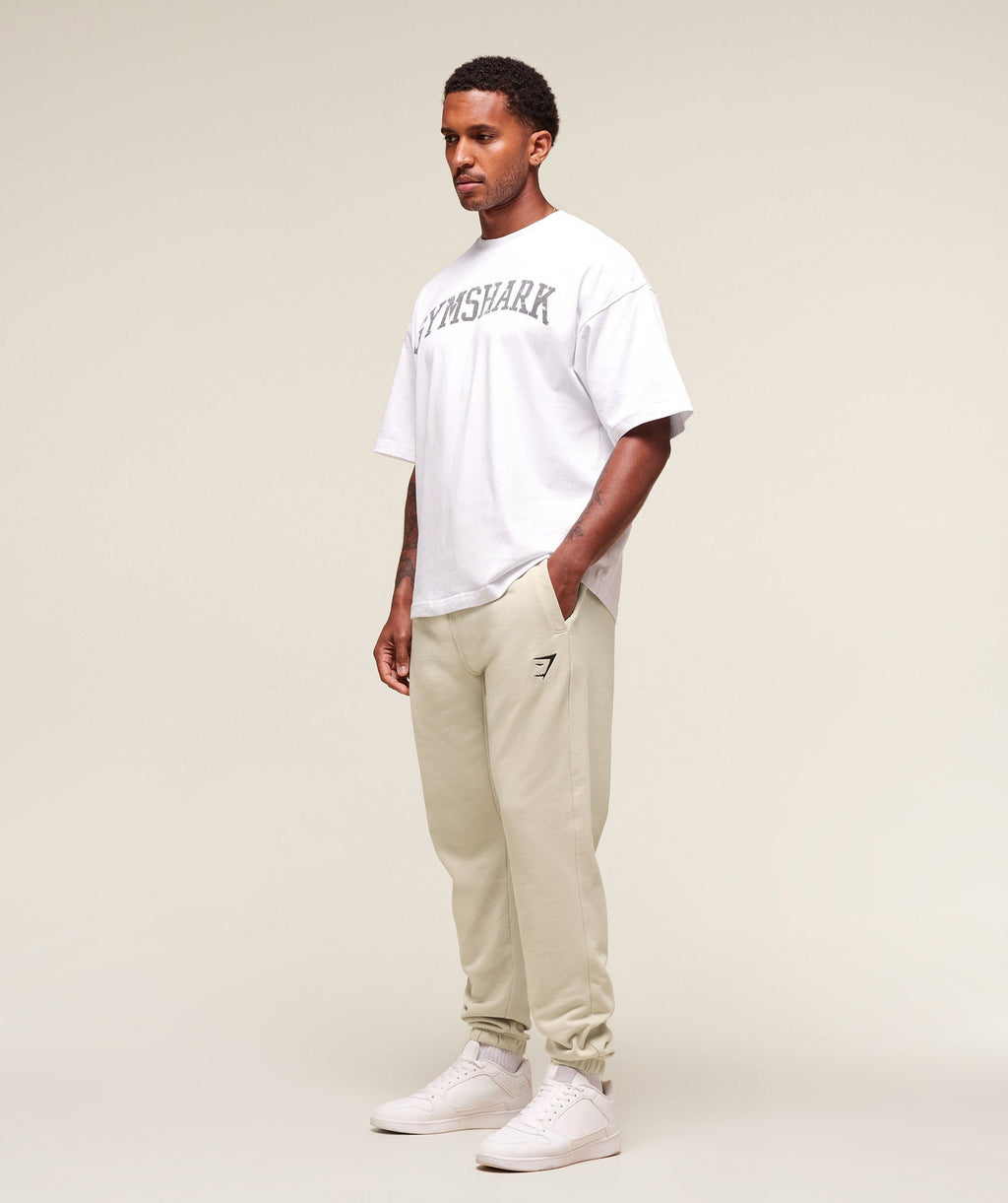 gymshark-essential-oversized-joggers-pants-grey-aw25