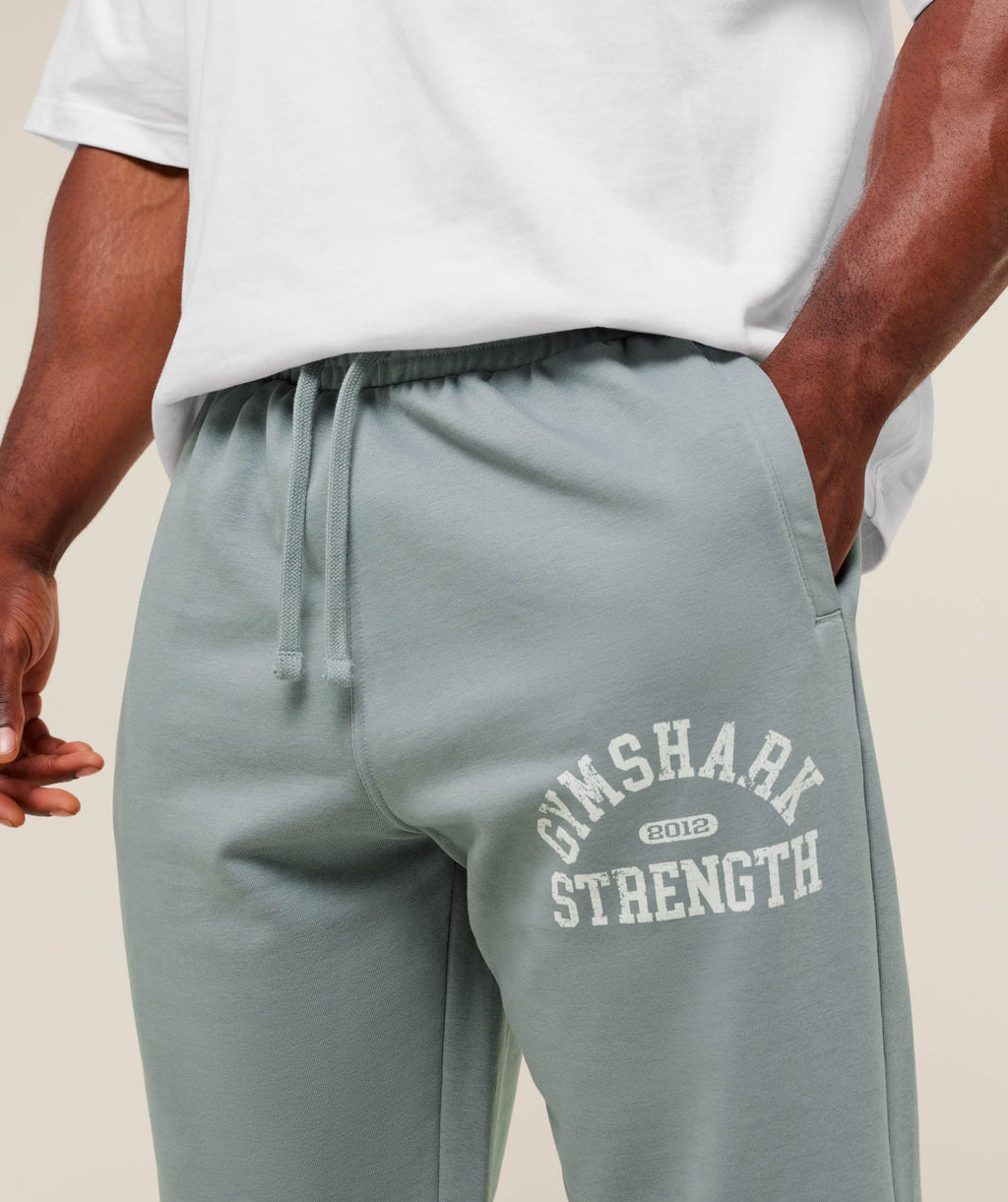 gymshark-2012-strength-joggers-pants-grey-aw25