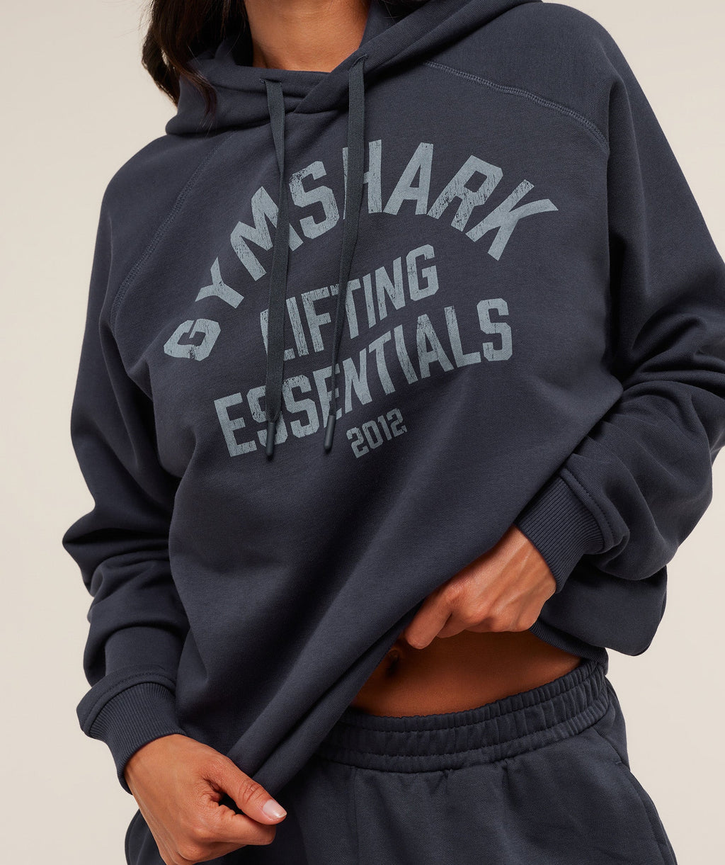 gymshark-lifting-essentials-hoodie-pullovers-blue-aw25