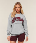 gymshark-collegiate-graphic-crew-neck-pullover-pullovers-grey-ss26