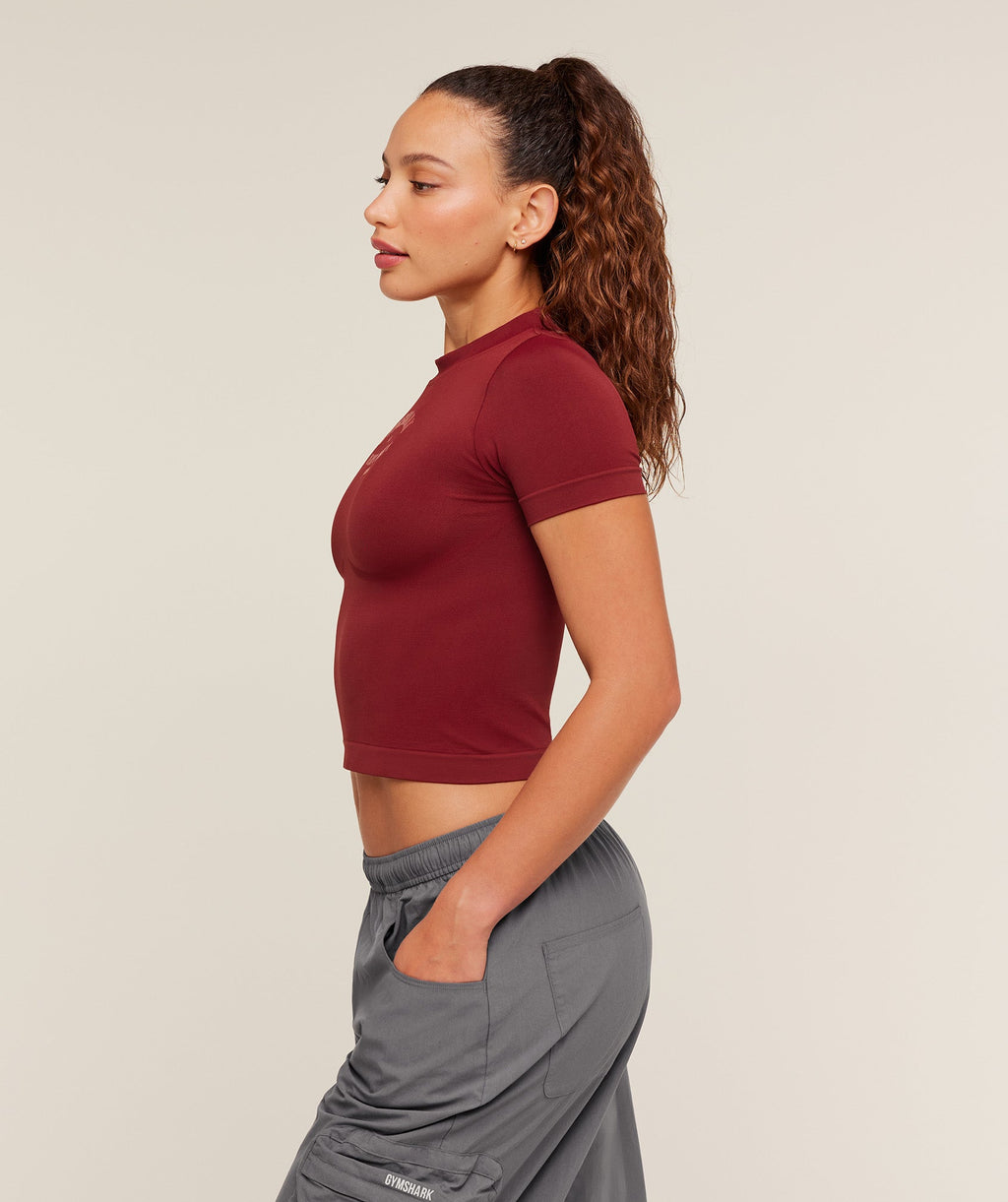 gymshark-heavy-duty-seamless-t-shirt-ss-tops-1