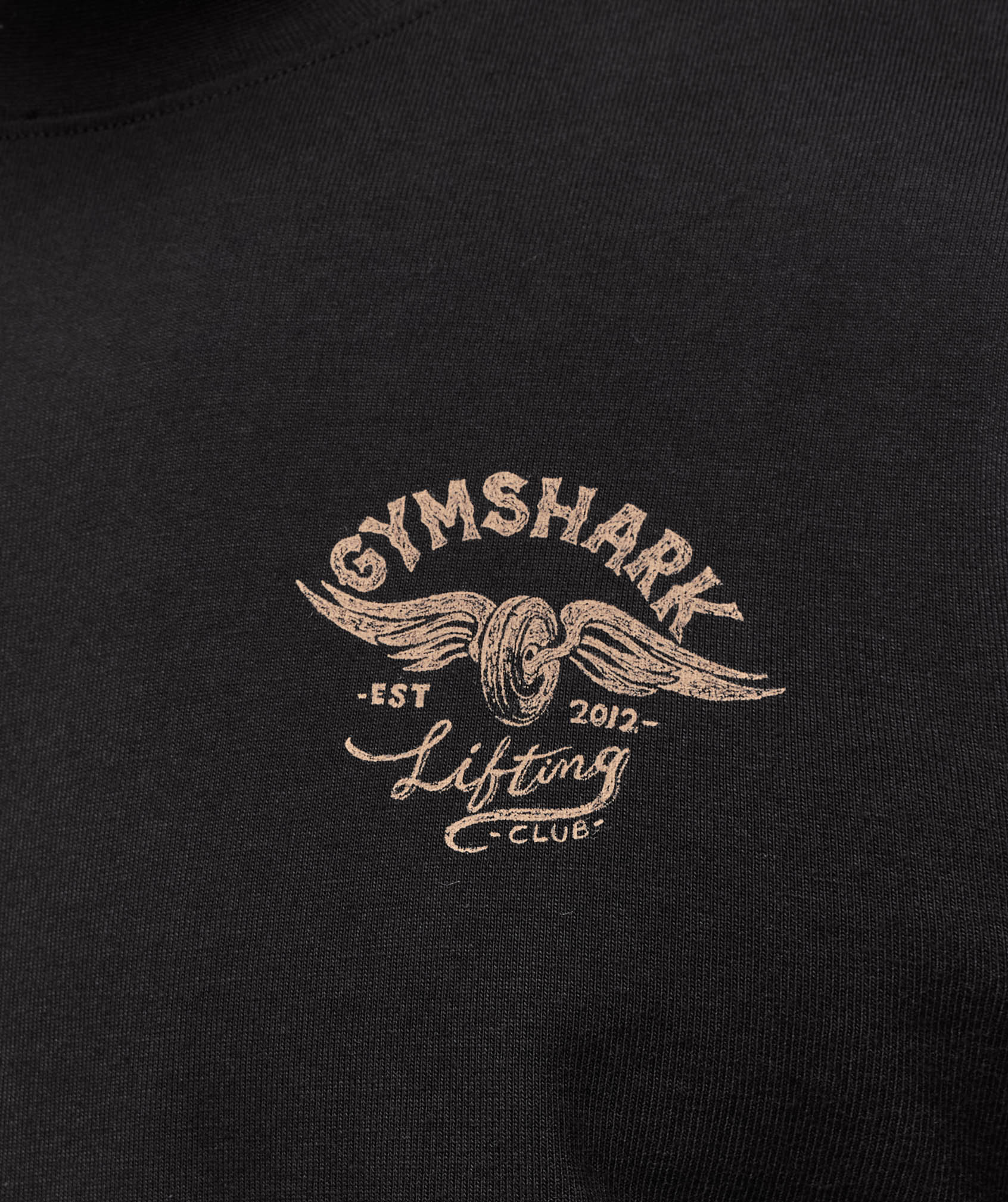 gymshark-flying-weights-t-shirt-ss-tops-black-ss25