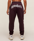 gymshark-strength-department-joggers-pants-purple-aw25