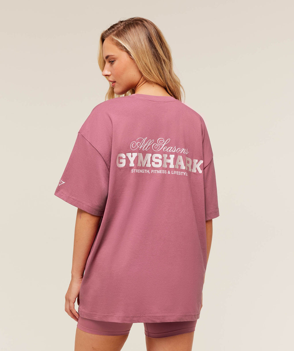 gymshark-all-seasons-graphic-short-sleeve-t-shirt-ss-tops