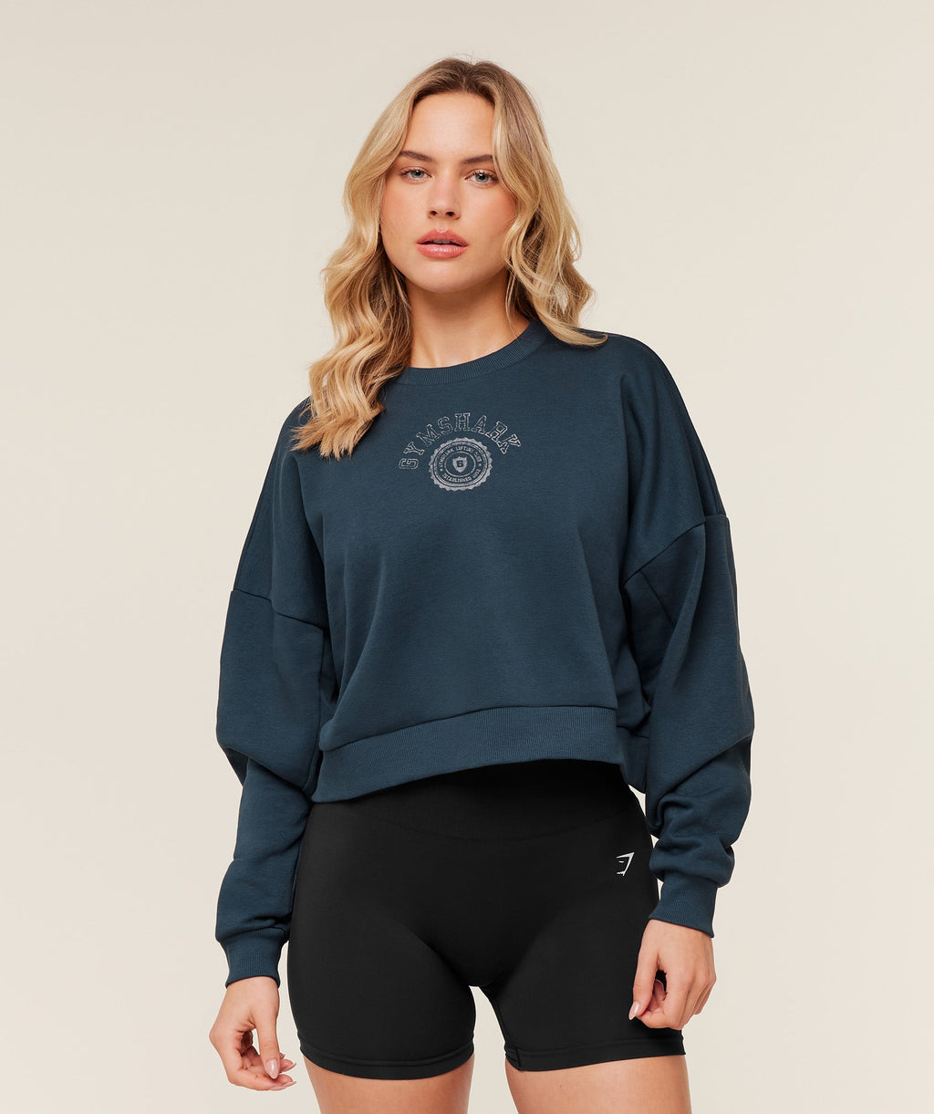 gymshark-worn-crest-graphic-sweatshirt-pullovers-blue-ss26