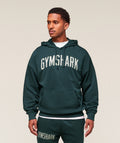 gymshark-worn-graphic-hoodie-pullovers-blue-aw25