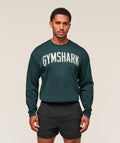 gymshark-worn-graphic-long-sleeve-t-shirt-ls-tops-blue-aw25