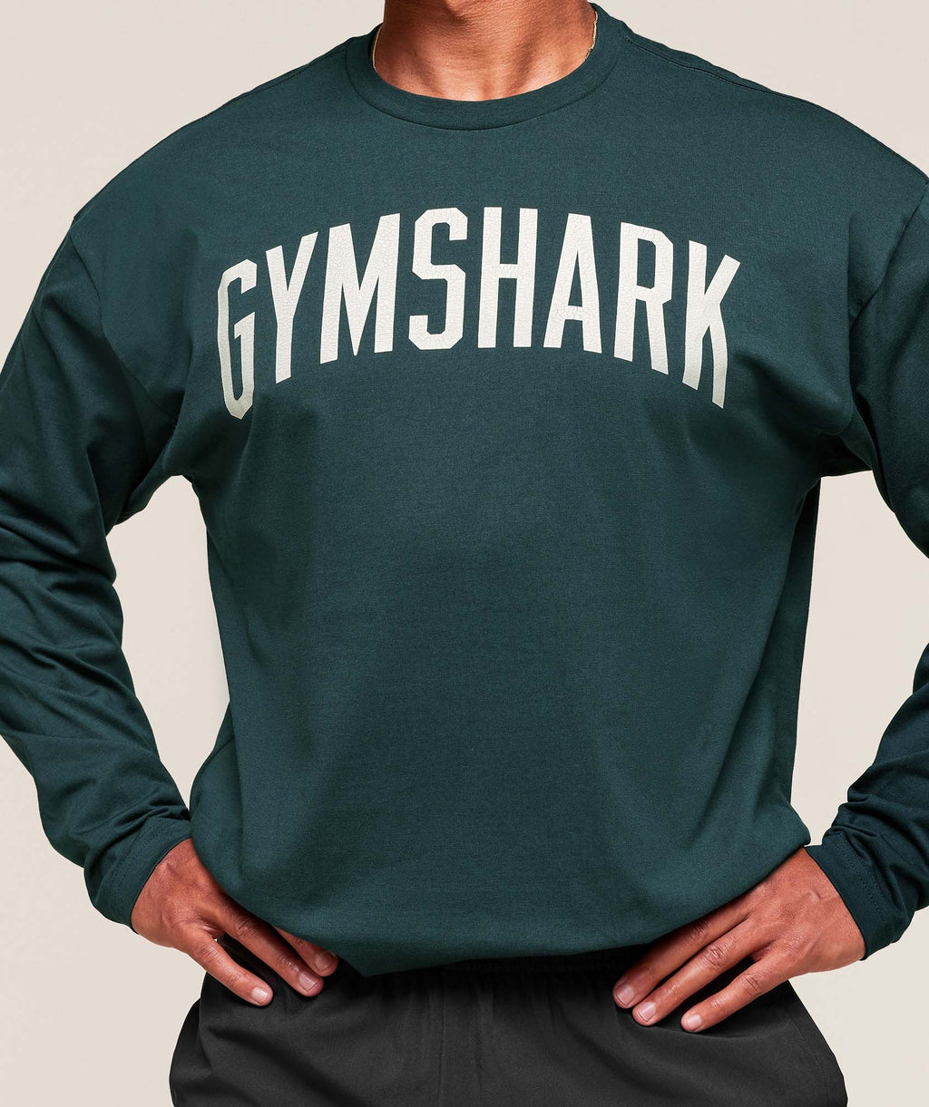 gymshark-worn-graphic-long-sleeve-t-shirt-ls-tops-blue-aw25