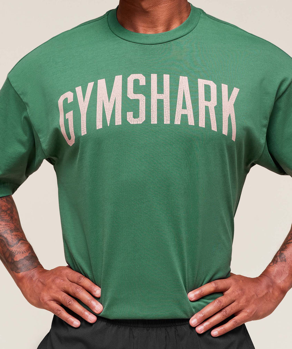 gymshark-worn-graphic-t-shirt-ss-tops-green-aw25