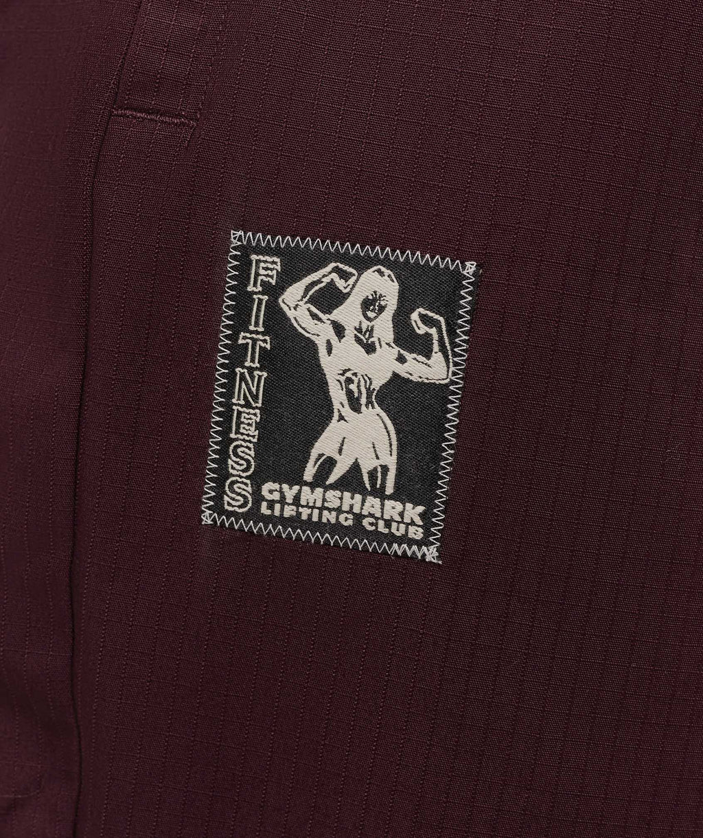 gymshark-lifting-pump-pants-pants-purple-aw25