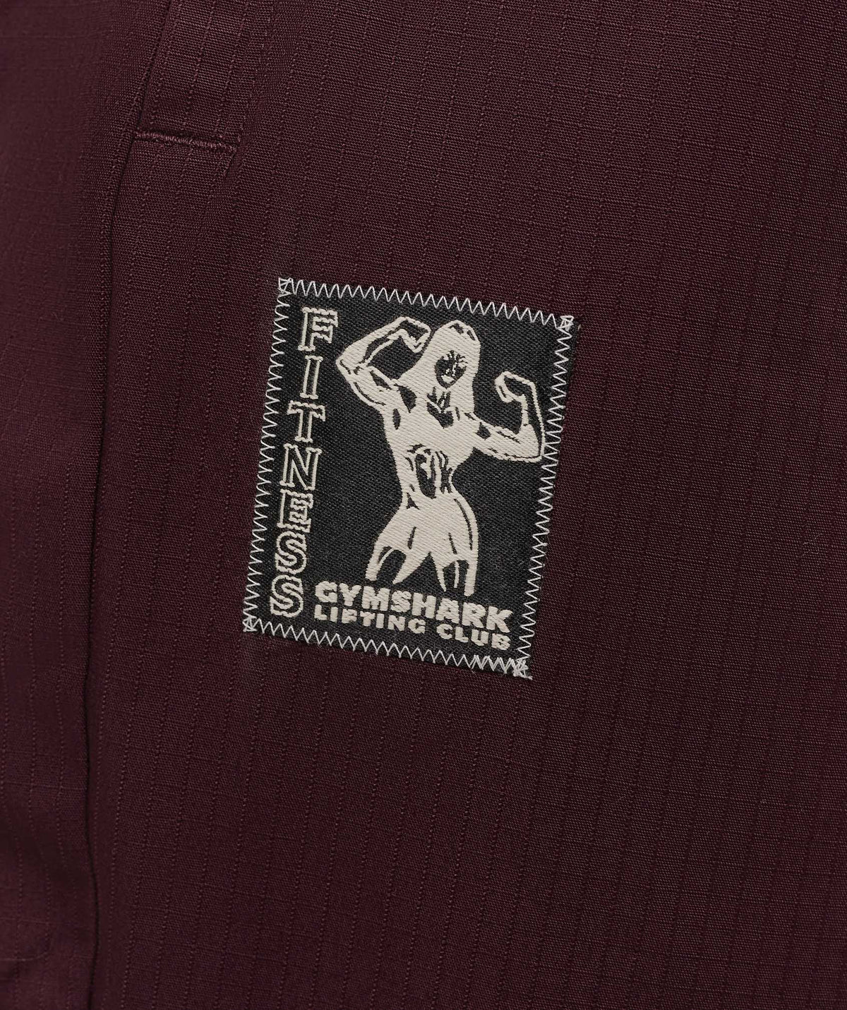gymshark-lifting-pump-pants-pants-purple-aw25