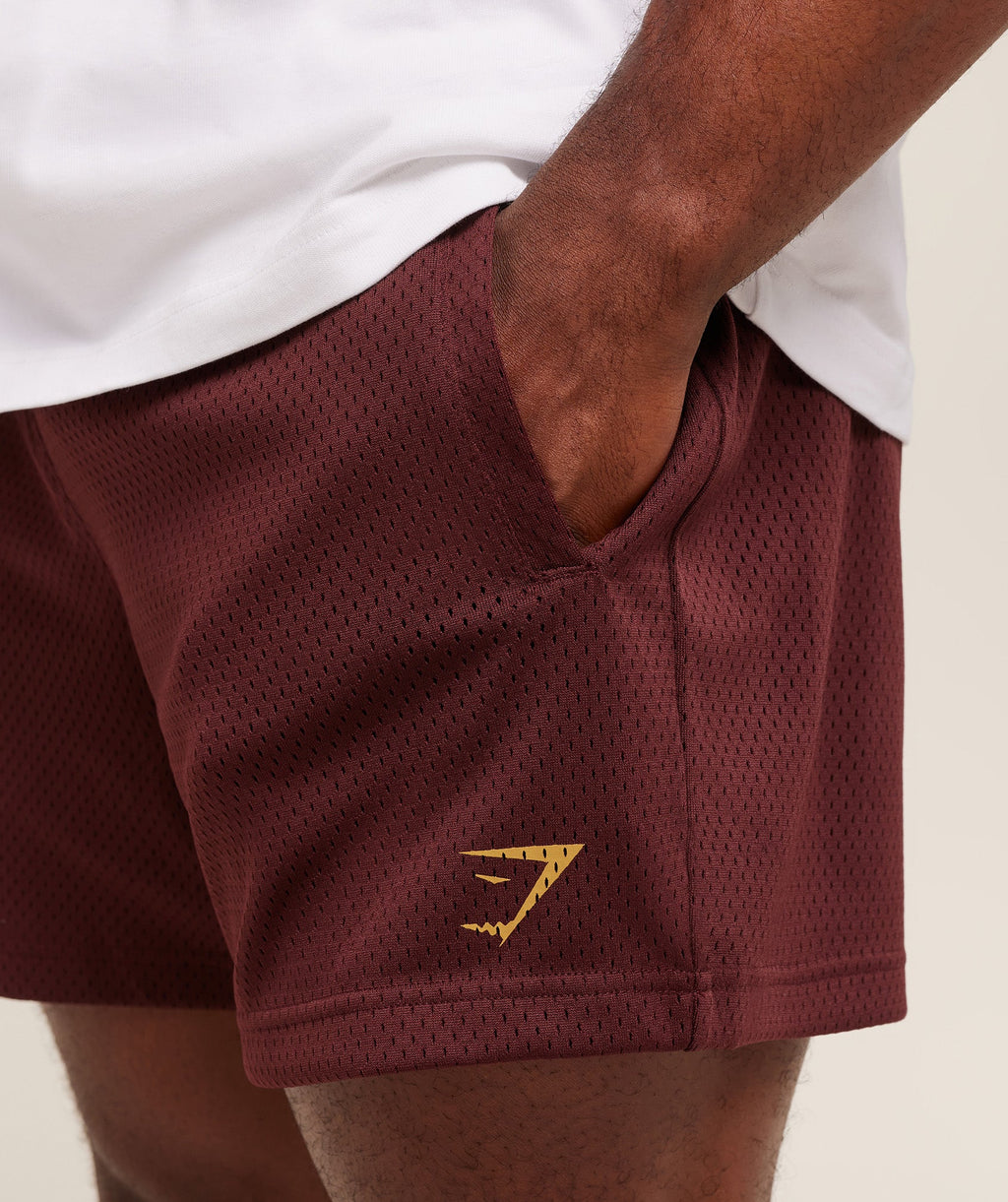 gymshark-lifting-mesh-5-shorts-shorts-brown-aw25-1