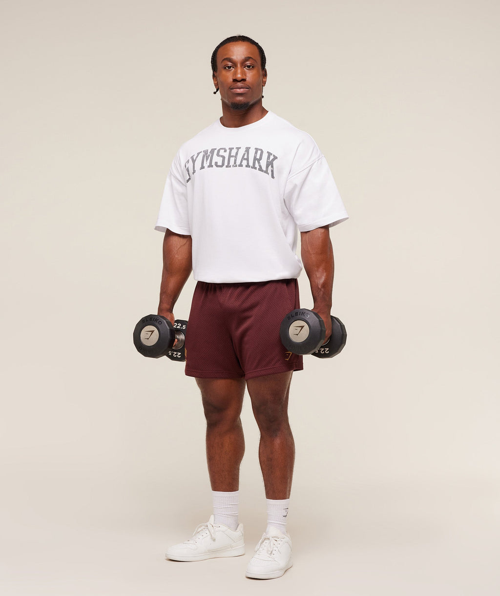 gymshark-lifting-mesh-5-shorts-shorts-brown-aw25-1