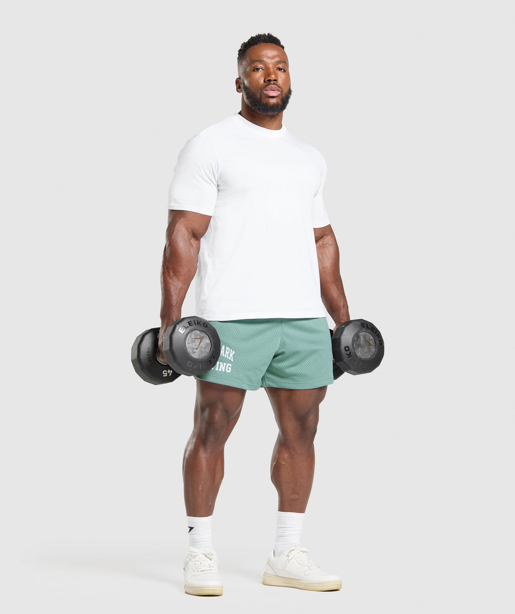 gymshark-lifting-mesh-5-shorts-shorts-blue-ss25