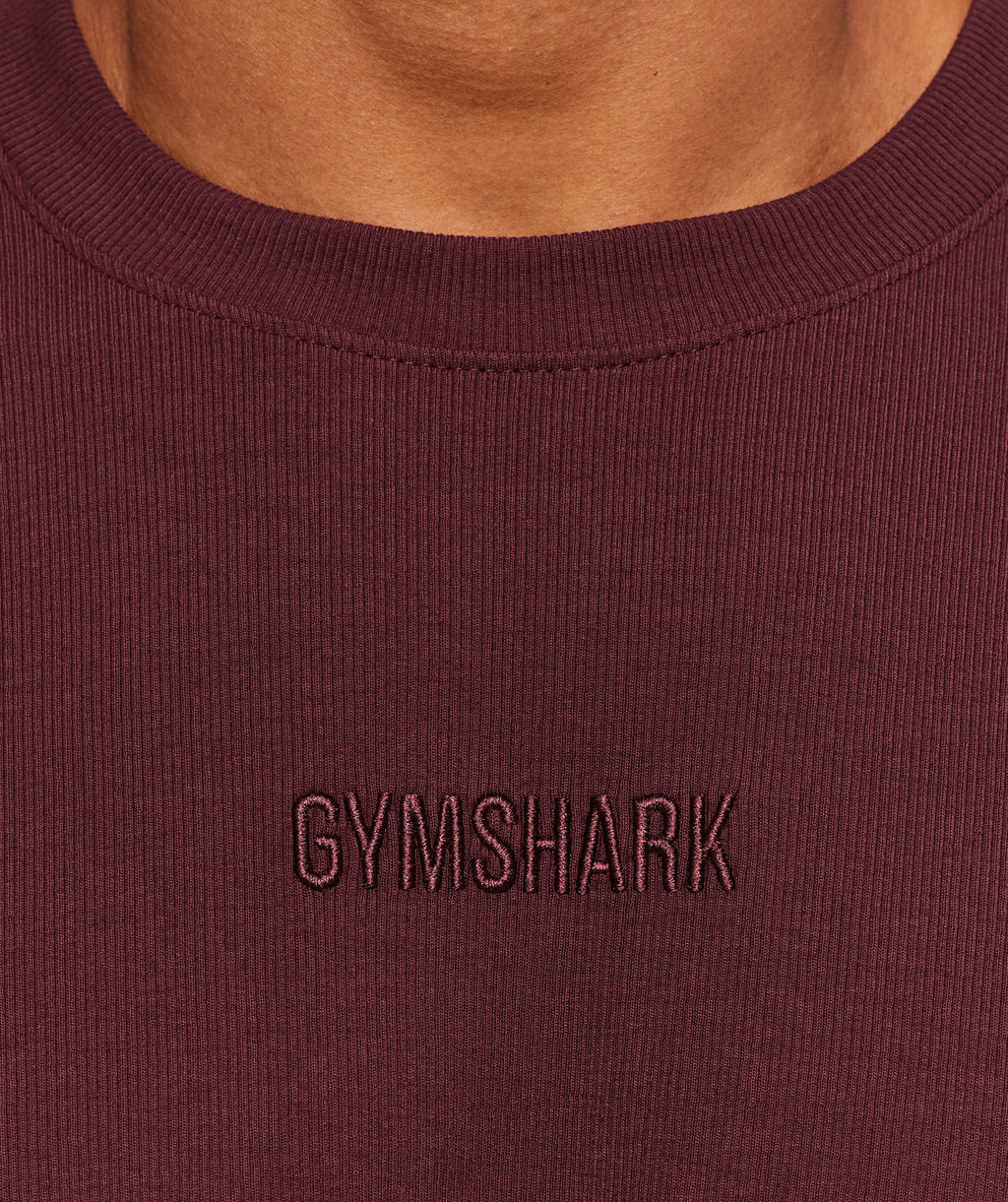 gymshark-oversized-premium-ribbed-t-shirt-ss-tops-brown-aw25