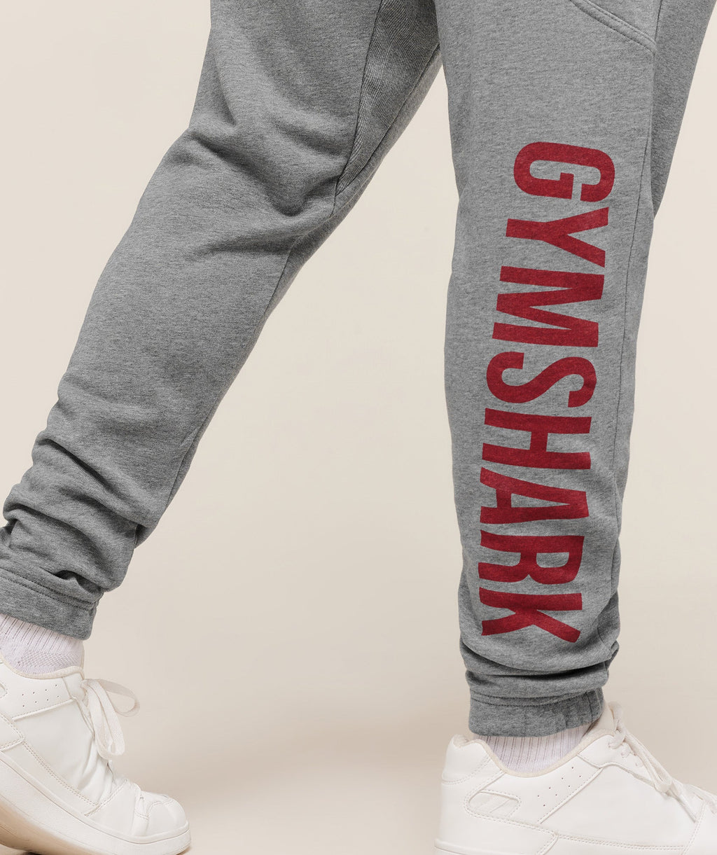 gymshark-power-wordmark-jogger-pants-grey-aw25
