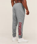gymshark-power-wordmark-jogger-pants-grey-aw25