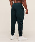 gymshark-power-wordmark-jogger-pants-blue-aw25-1