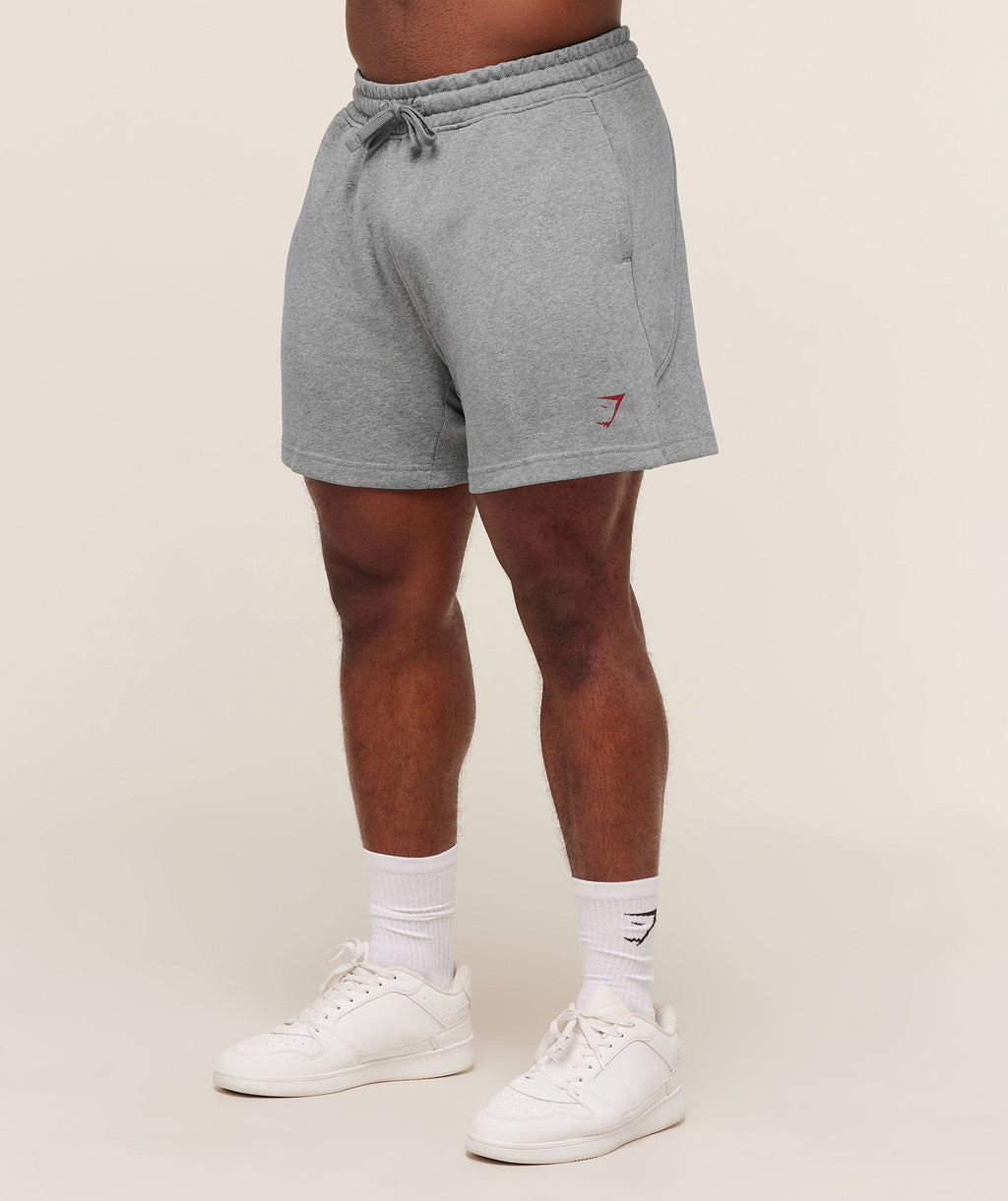 gymshark-power-5-shorts-shorts-grey-aw25