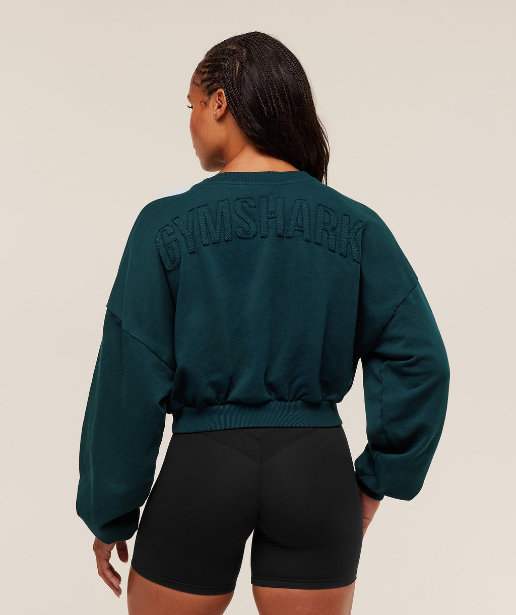 gymshark-power-washed-sweat-top-pullovers-blue-aw25