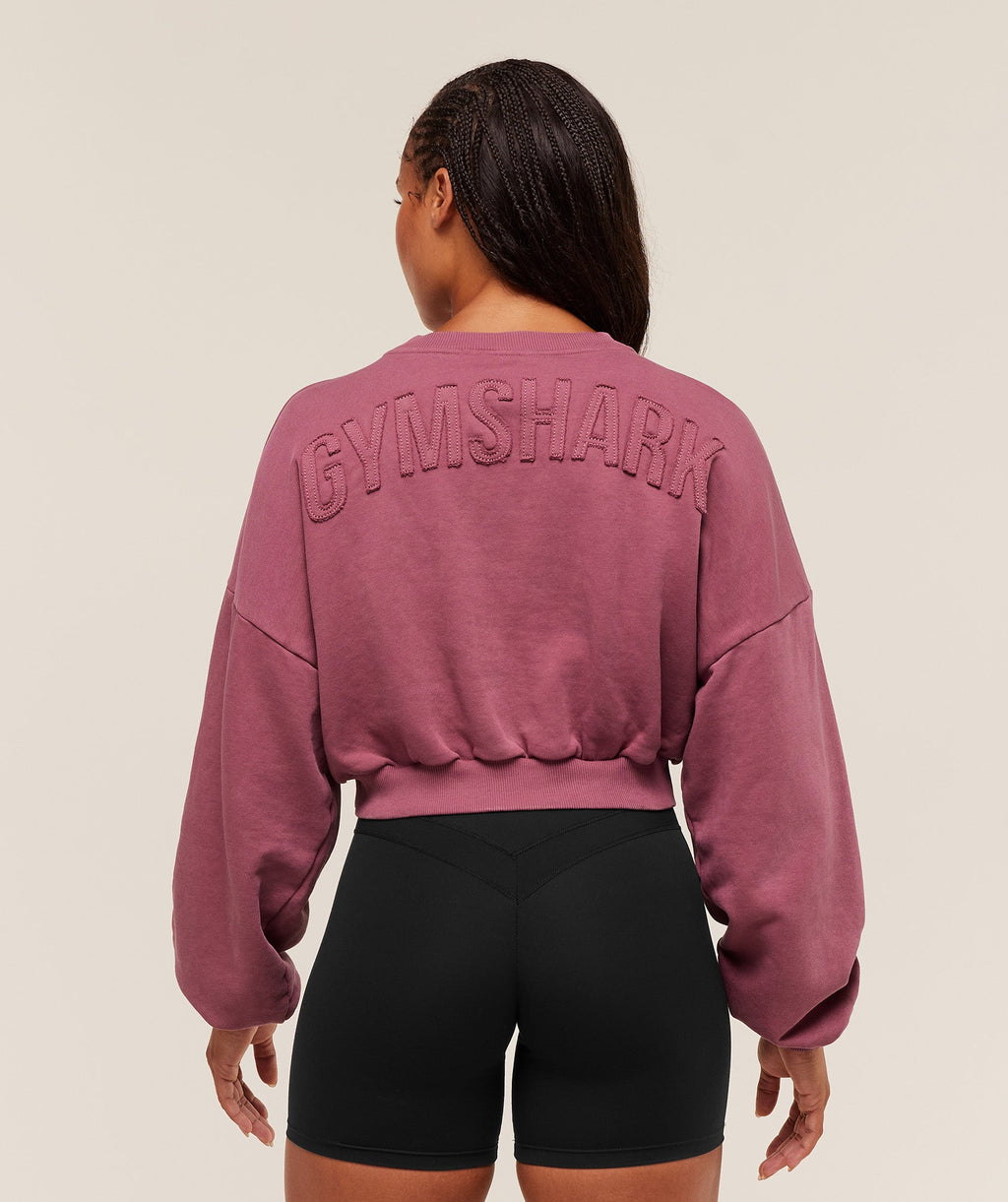 gymshark-power-washed-sweat-top-pullovers-pink-aw25