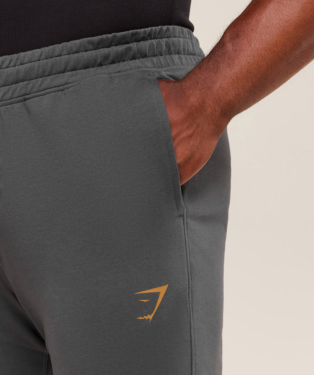 gymshark-prime-joggers-pants-grey-aw25