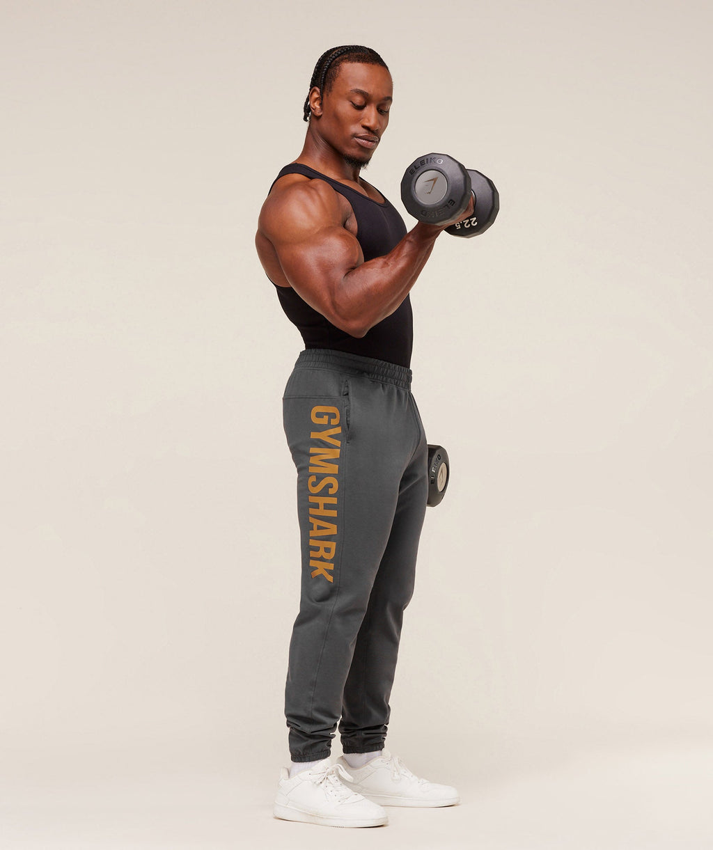 gymshark-prime-joggers-pants-grey-aw25