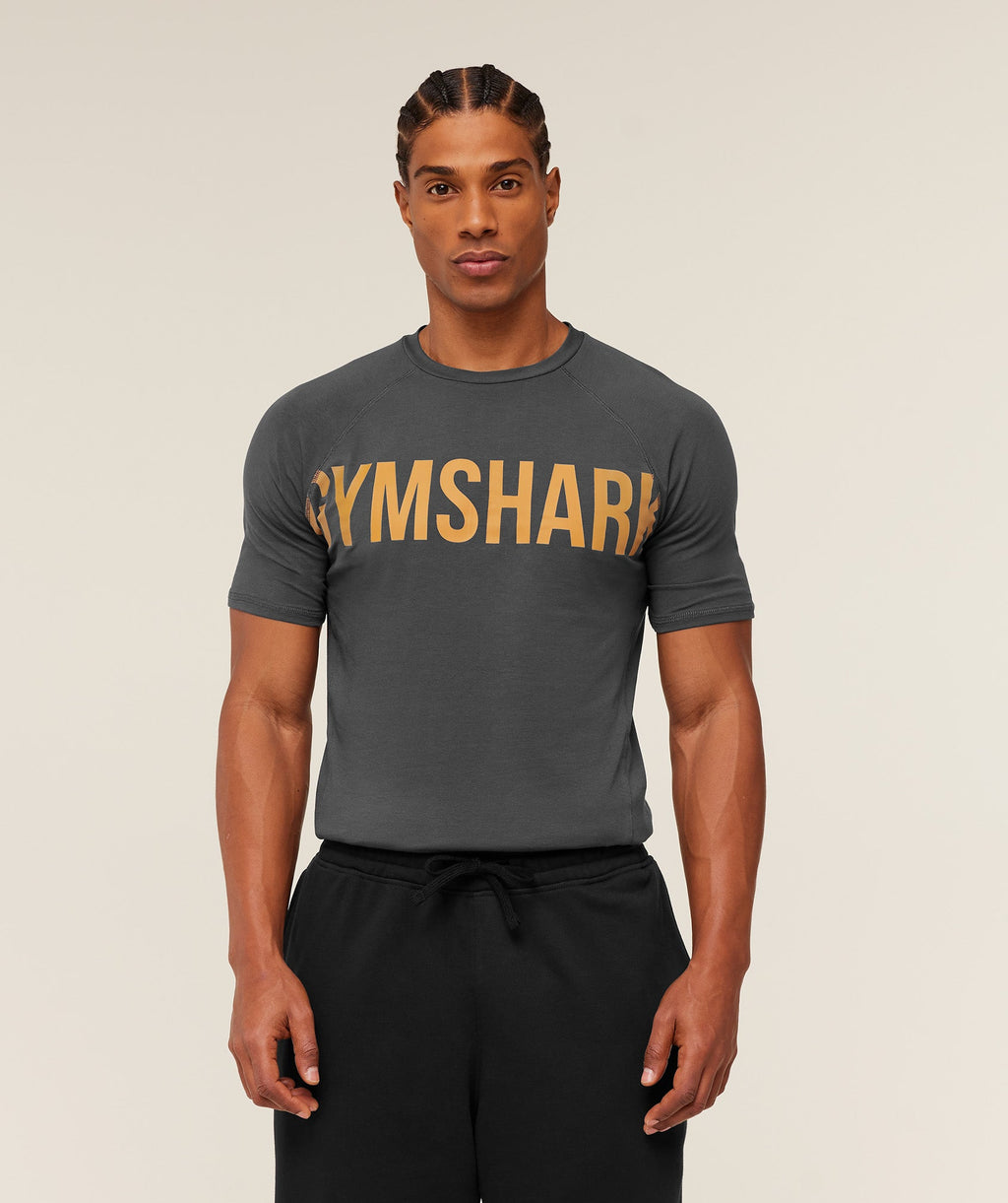 gymshark-prime-t-shirt-ss-tops-grey-aw25