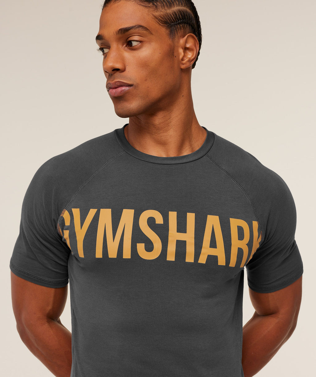 gymshark-prime-t-shirt-ss-tops-grey-aw25