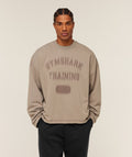 gymshark-re-rack-crew-neck-pullover-pullovers-brown-ss26