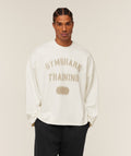 gymshark-re-rack-crew-neck-pullover-pullovers-white-ss26