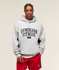 gymshark-varsity-hoodie-pullovers-grey-ss25