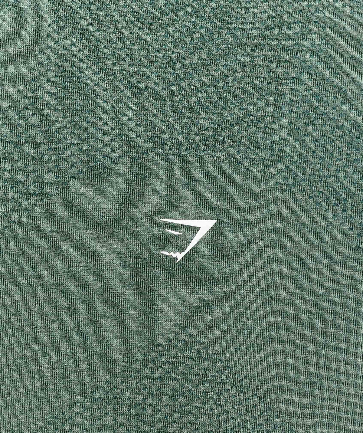 gymshark-vital-seamless-2-0-light-long-sleeve-top-ls-tops-green-aw25